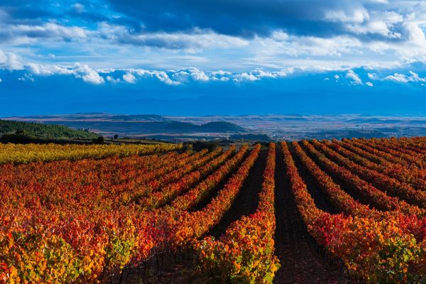 Camino Frances Stage 2: Logrono to Burgos - 7 Days